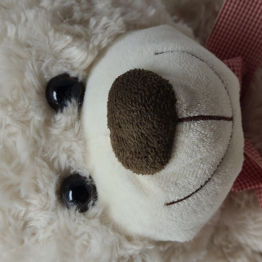 20" BURTON + BURTON BEIGE TEDDY BEAR - Picture 2 of 7